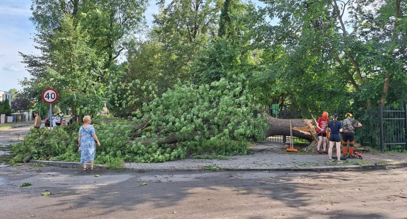 Piła: Park Miejski i Wyspa zamknięte do odwołania
