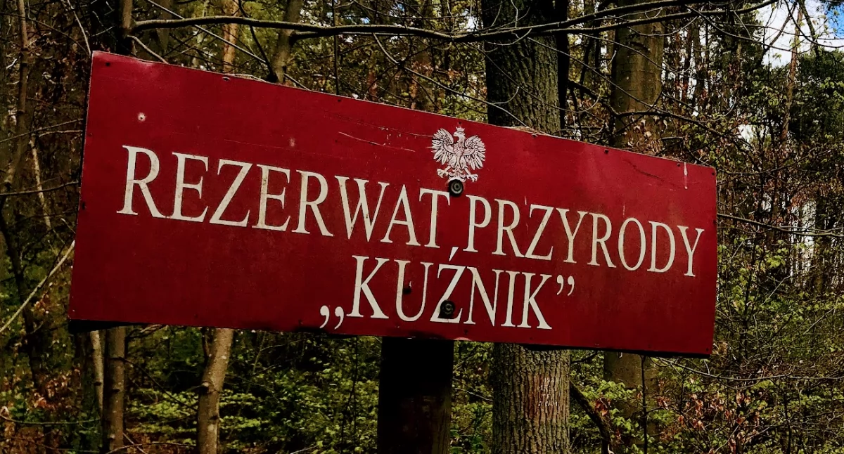 Nie ma zakazu, ale są ostrzeżenia. Można już wybrać się na spacer do Kuźnika