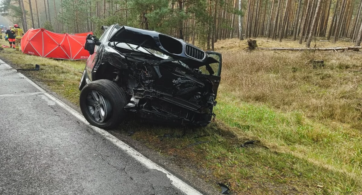 Śmiertelny wypadek na trasie Piła - Stobno. DW180 zablokowana [ZDJĘCIA]