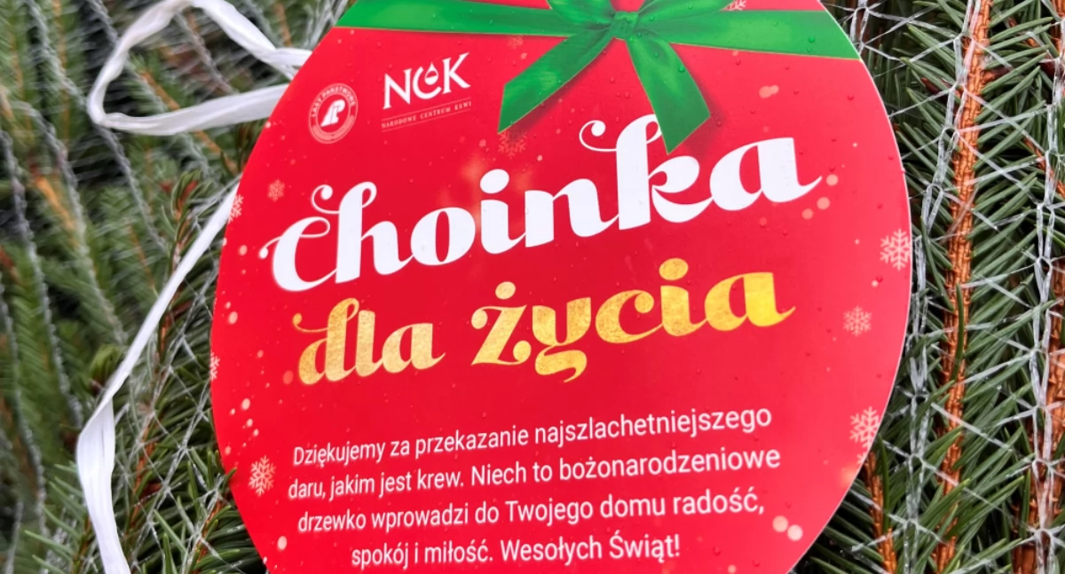 Oddaj krew i odbierz choinkę od leśników. „Choinka dla życia” także w Pile