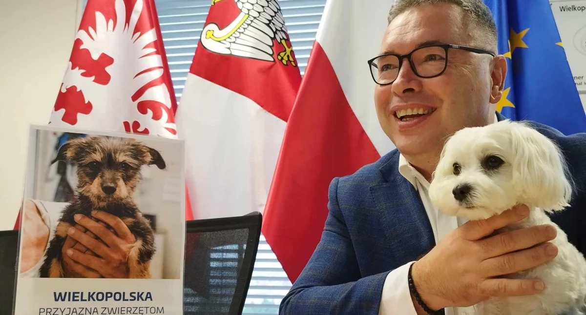 Wielkopolska przyjazna zwierzętom. Gminy mogą sięgać po środki