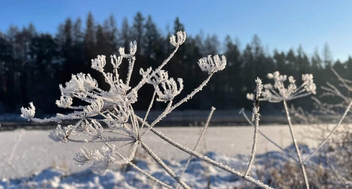 W środę rano Piła była jednym z najzimniejszych miast w Polsce
