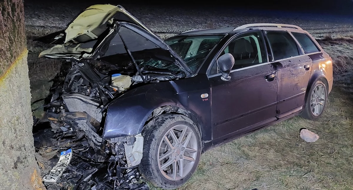 Młodzi, pijani, za kierownicą. Cudem uniknęli tragedii [ZDJĘCIA]