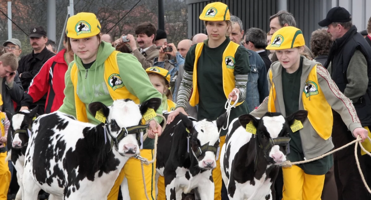 W niedzielę w Czarnkowie AgroTargi. Czekają wystawcy, atrakcje i konkursy