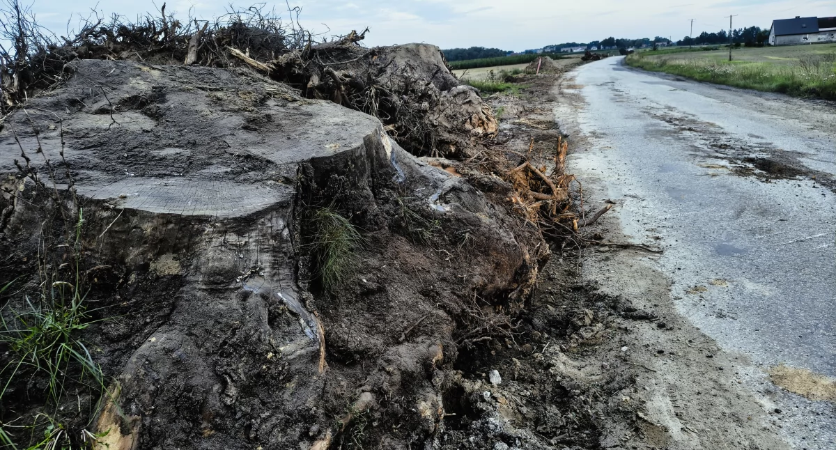 Trwa rozbudowa drogi 190 Podróżna-Bądecz i Margonin-Durowo 