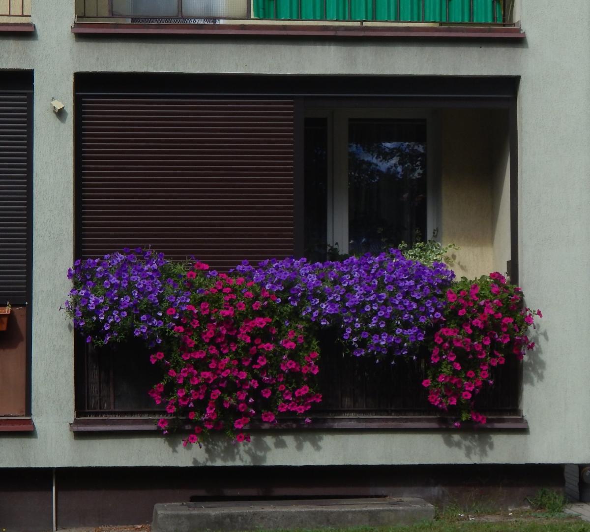 Najpiękniejsze balkony w całej spółdzielni