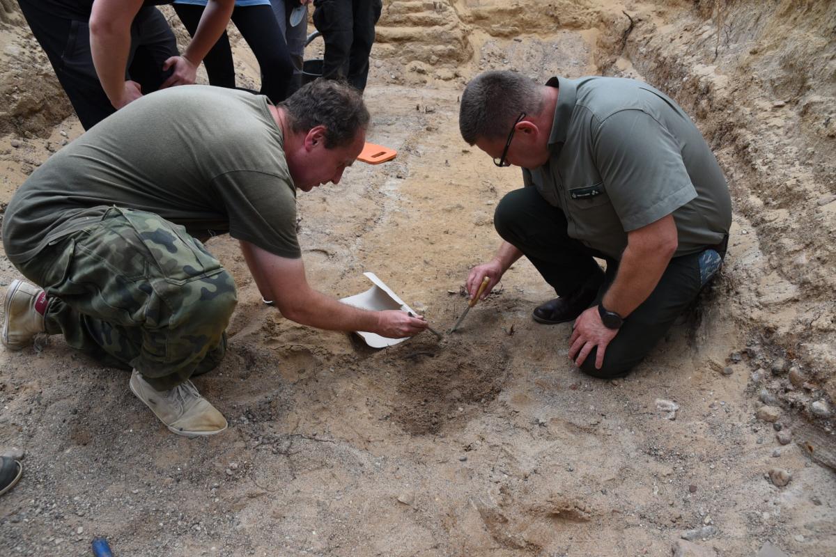 Historia lasem porosła. Konferencja archeologiczna w Goraju
