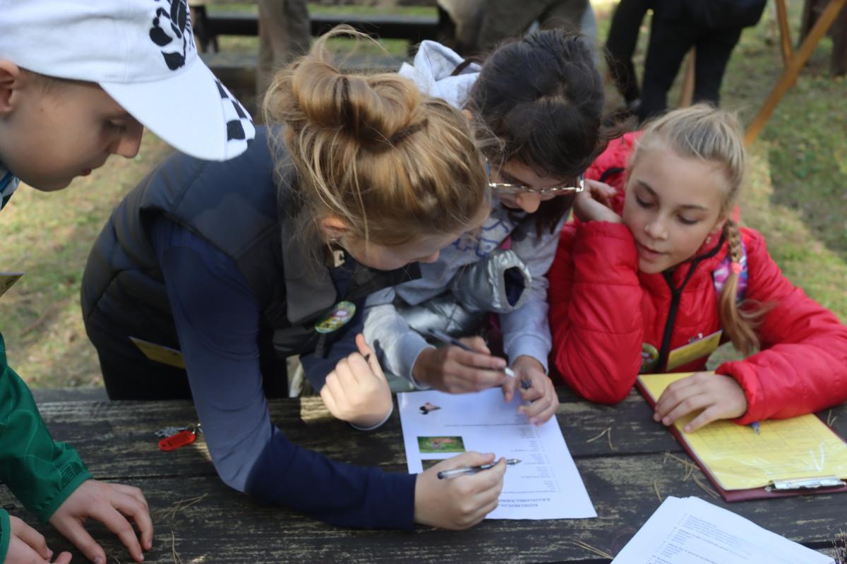 XXIII Turniej Leśny czyli ile wiecie o lesie?