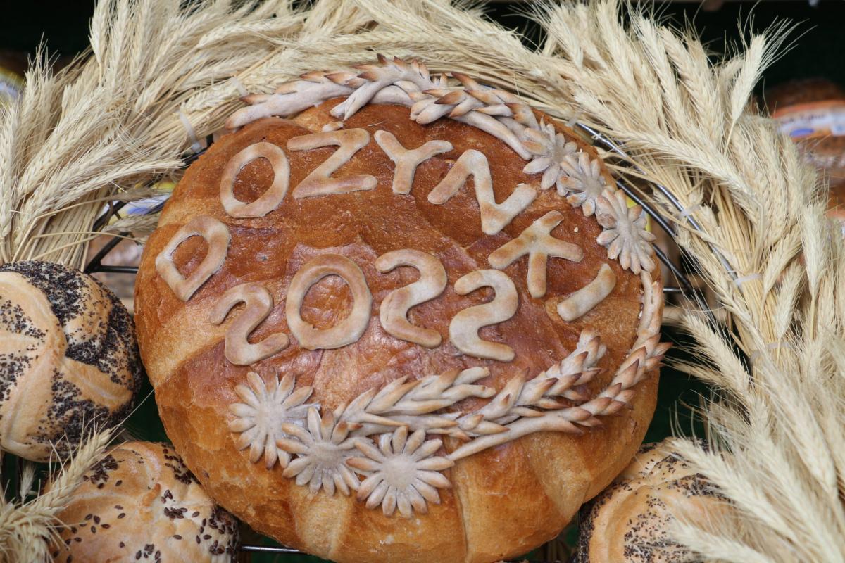 Dożynki w Niekursku. Tak gmina Trzcianka dziękowała za plony