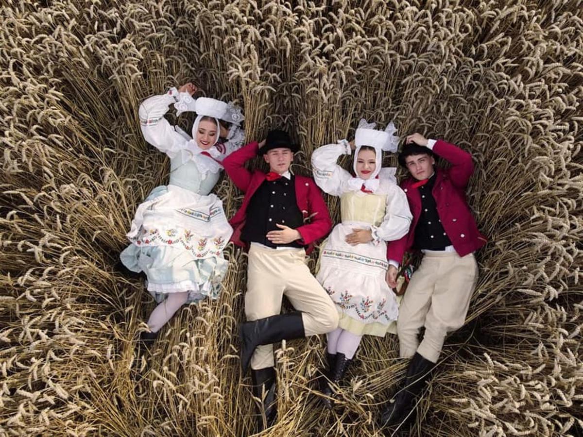 Dożynkowy rozkład jazdy. Święto plonów w powiecie pilskim i złotowskim [PROGRAM]