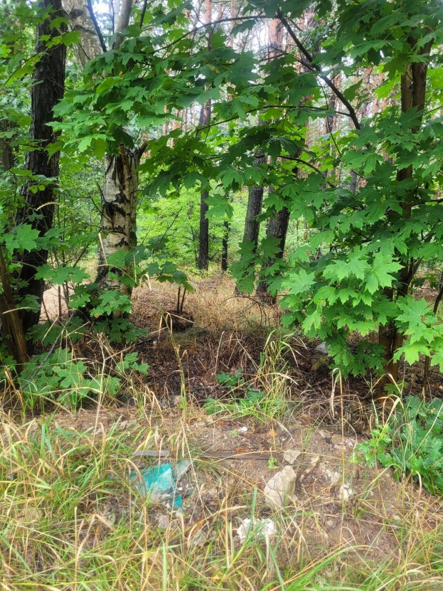 Wspólnie posprzątajmy Podlasie