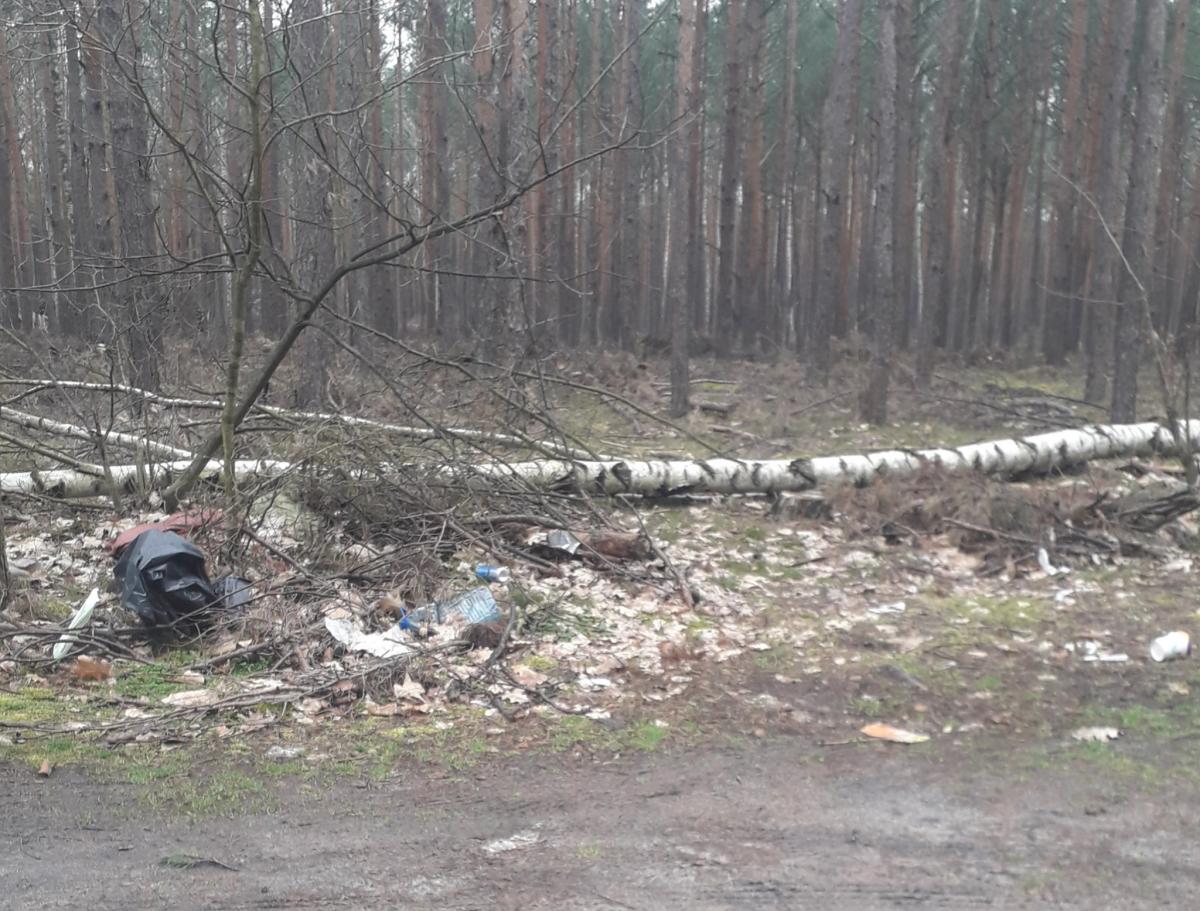 Sprzątajmy. Przede wszystkim po sobie