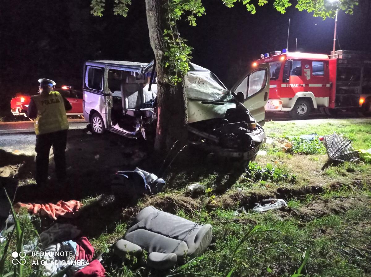 Bus wpadł na drzewo. Rannych 8 osób, w tym szóstka dzieci
