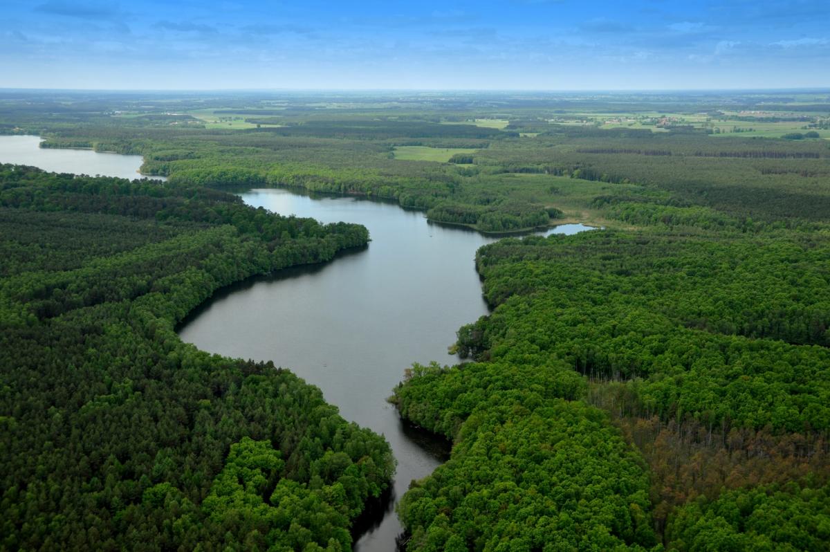 Bory Kujańskie. Pierwszy park krajobrazowy na północy Wielkopolski