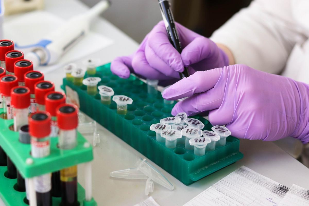 Wielkopolskie: pierwszy polski test na koronawirusa wejdzie do produkcji w przyszłym tygodniu