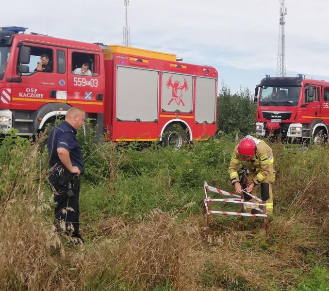 Pies i sarna utknęły w studni. Pomogli strażacy