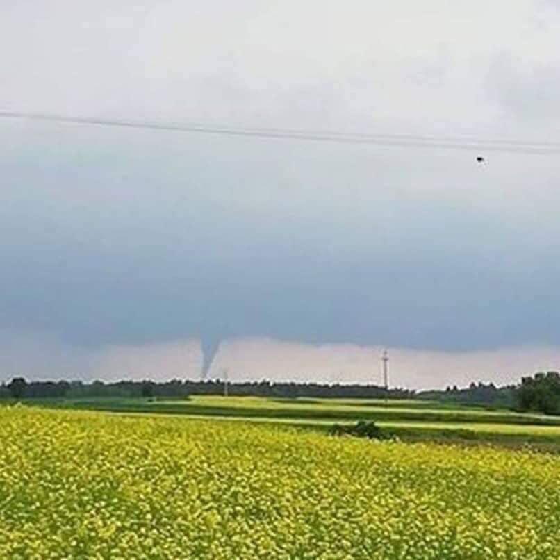 Trąba powietrzna pod Piłą. Żywioł łamał drzewa, jak zapałki