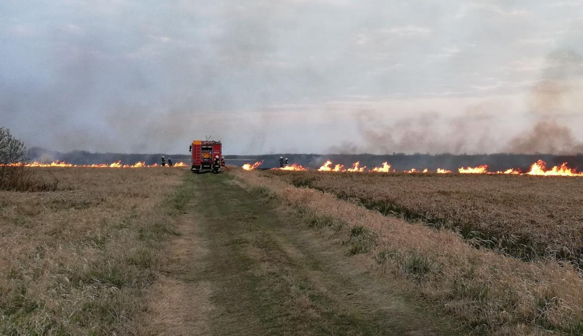 Spłonęło 80 hektarów łąk i zarośli nad Notecią