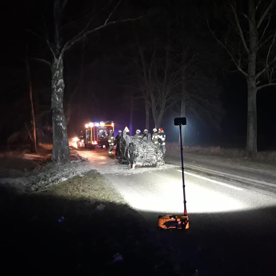 Kierowca osobówki w szpitalu. Łoś zginął na miejscu...
