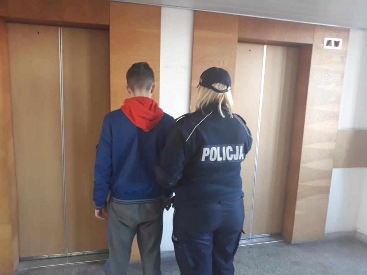 Dwóch nastolatków odpowiedzialnych za ewakuację Inwest-Parku