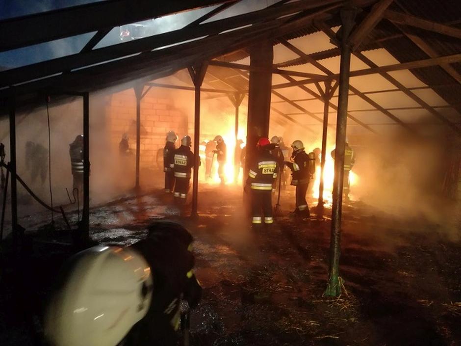 Potrzebna pomoc w odbudowie i słoma dla zwierząt
