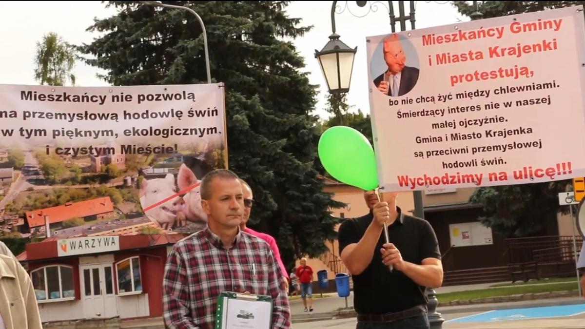 Po protestach mieszkańców: nie będzie chlewni  w Krajence