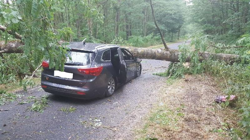 Nawałnica: drzewo przygniotło samochód