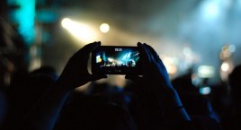 Festiwal Żubra w Mirosławcu. Koncerty i atrakcje dla całych rodzin [PROGRAM]