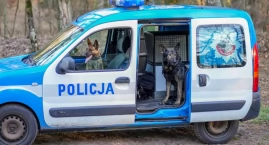Hugo i Chmura na służbie w pilskiej policji [ZDJĘCIA]