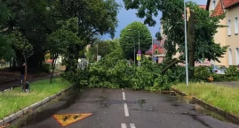 Krajobraz po burzy w Pile i regionie. Wichura wyrywała drzewa z korzeniami [VIDEO][ZDJĘCIA]