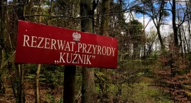 Zakaz wstępu do Rezerwatu Kuźnik. Leśnicy apelują o szczególną ostrożność