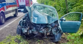 Pijana 21-latka wjechała w drzewo. Miała ponad promil alkoholu w organizmie