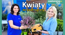 Kwiaty za elektrograty. Dołącz do akcji Castoramy!