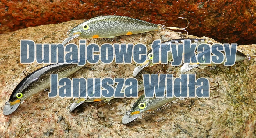 Dunajcowe frykasy Janusza Widła