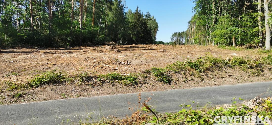 Wykarczowali las. Tutaj będzie obwodnica