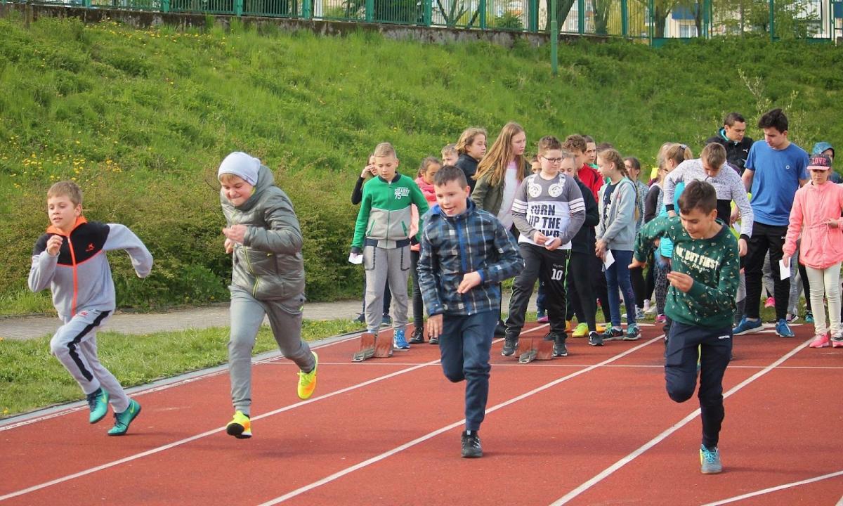 Wracają 
