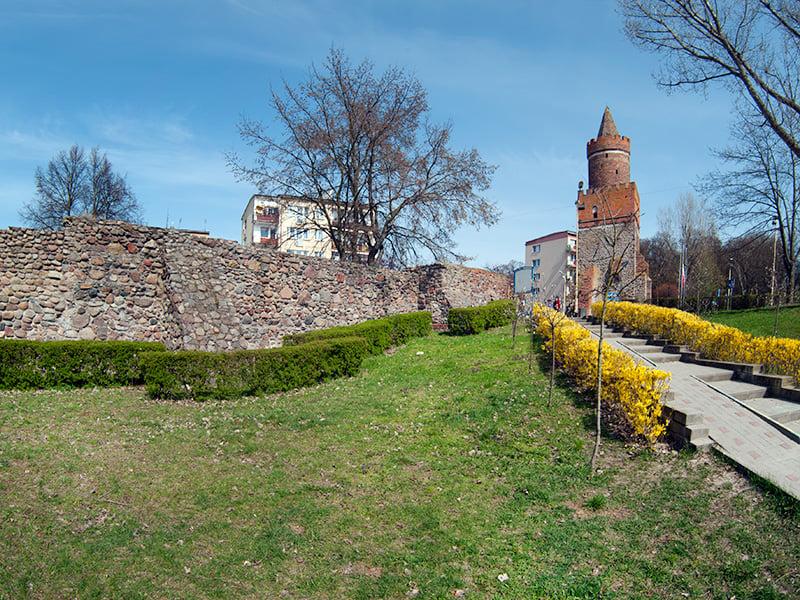 Akcja 