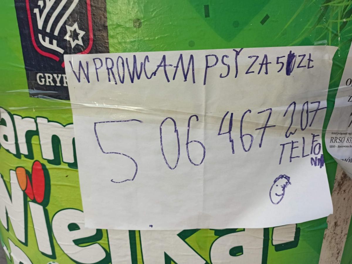 9-letni Julek chętnie wyprowadzi na spacer twojego pieska