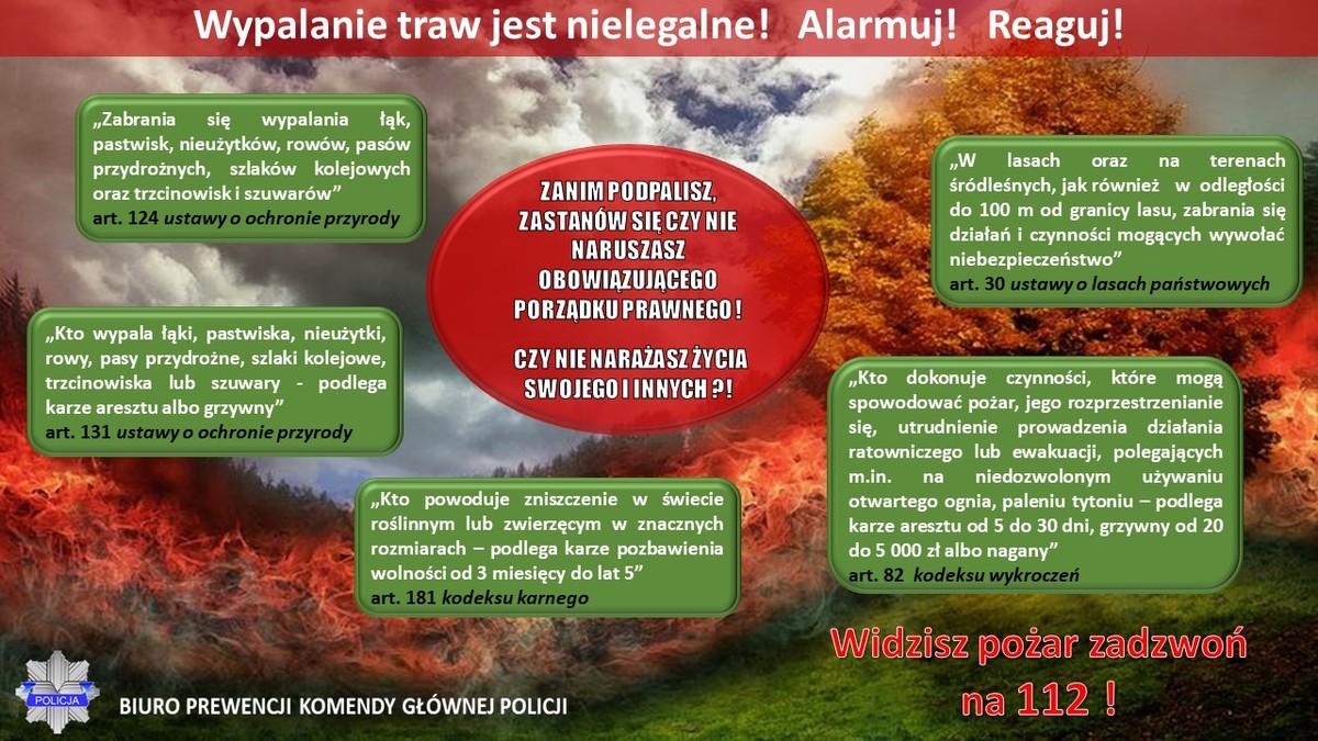 Reaguj, gdy ktoś wypala trawy. To nielegalne!