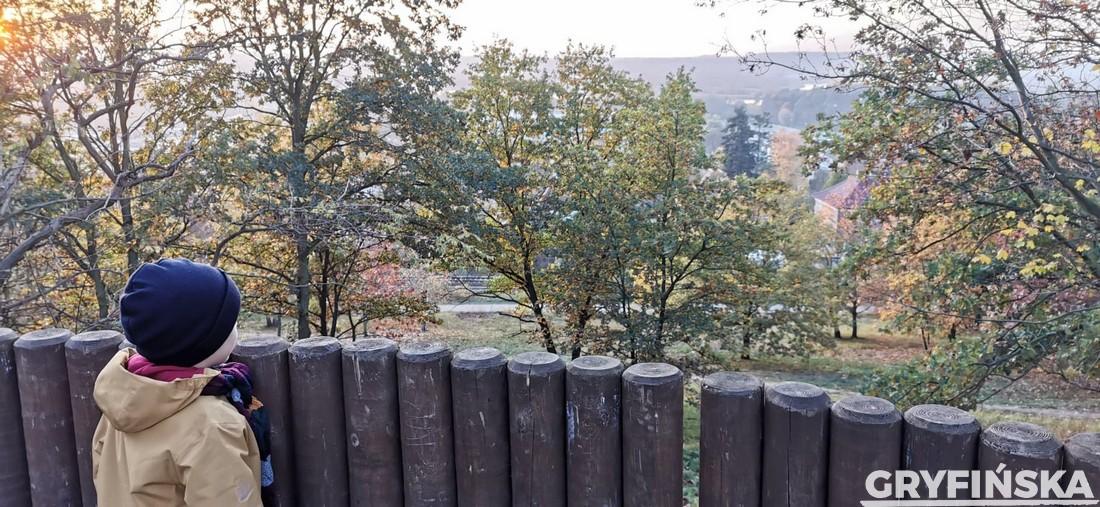 Czytelnik o Górce Miłości: teren ten znajduje się w opłakanym stanie