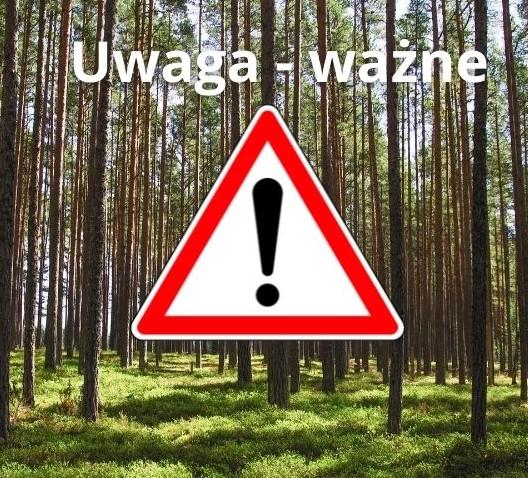 PILNE! Lasy w Gryfinie, Baniach i Widuchowej zostały zamknięte!