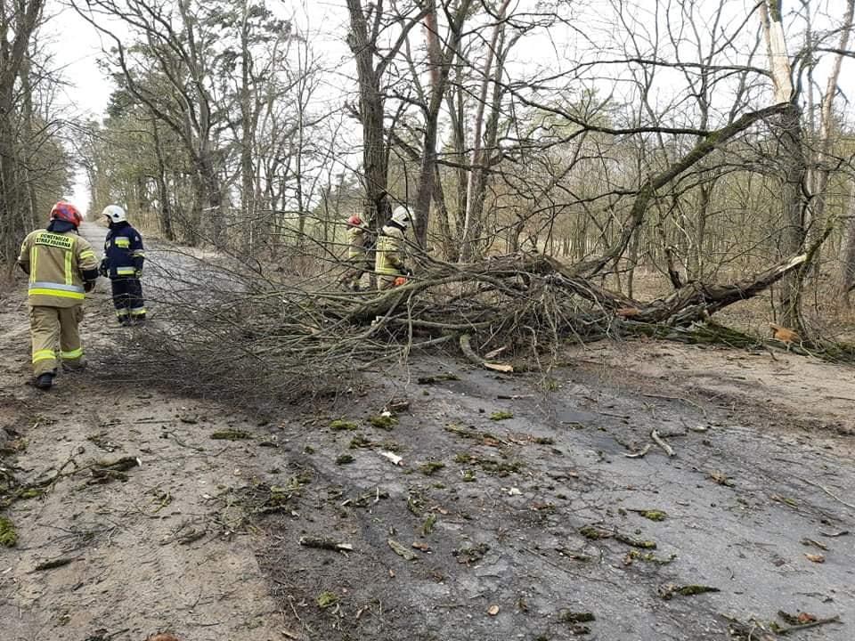 Strażacy znów nie mieli łatwo
