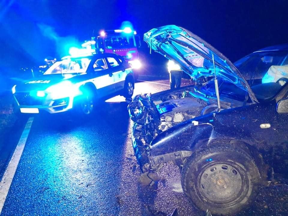 Samochód uderzył w sarnę [ZDJĘCIA]