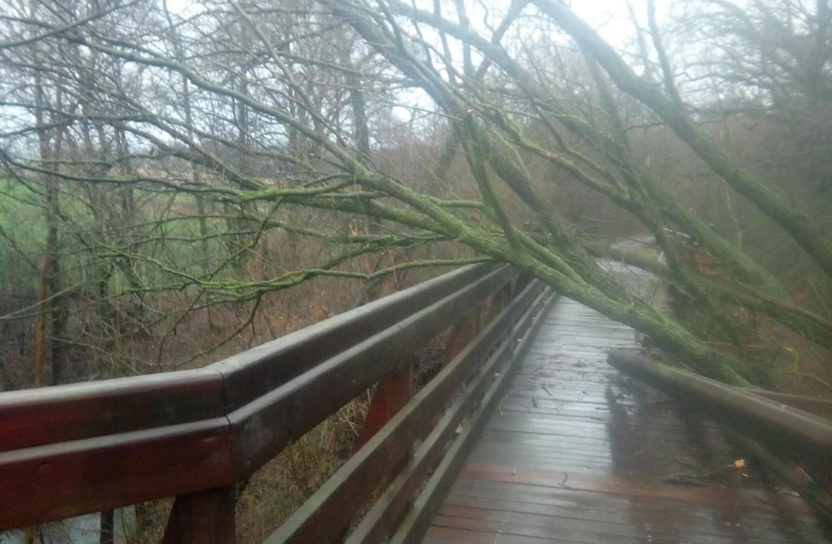 Most na Tywie nieprzejezdny. To sprawka bobrów [GALERIA]