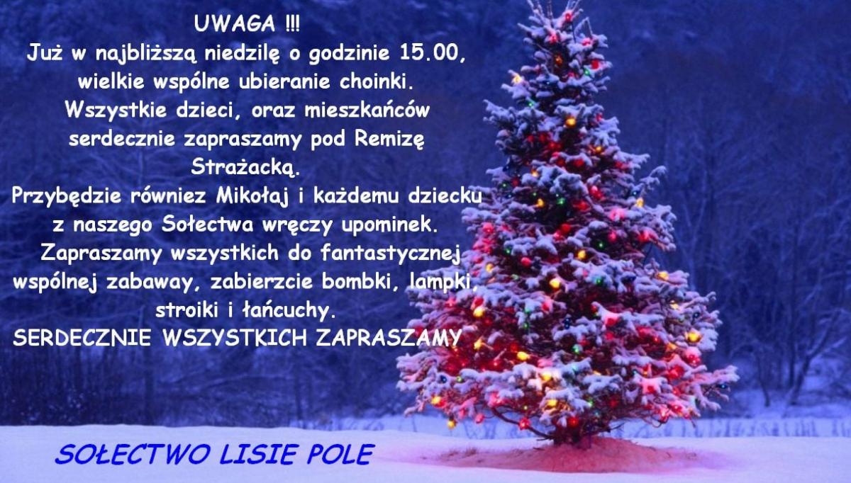 Chcą wspólnie ubrać choinkę