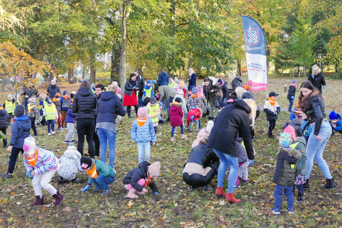 Zasadzili w parku 10 000 krokusów [GALERIA]