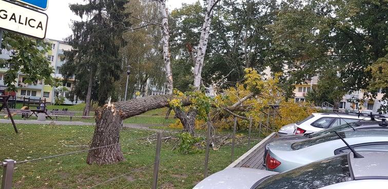 Samochody miały sporo szczęścia [GALERIA]