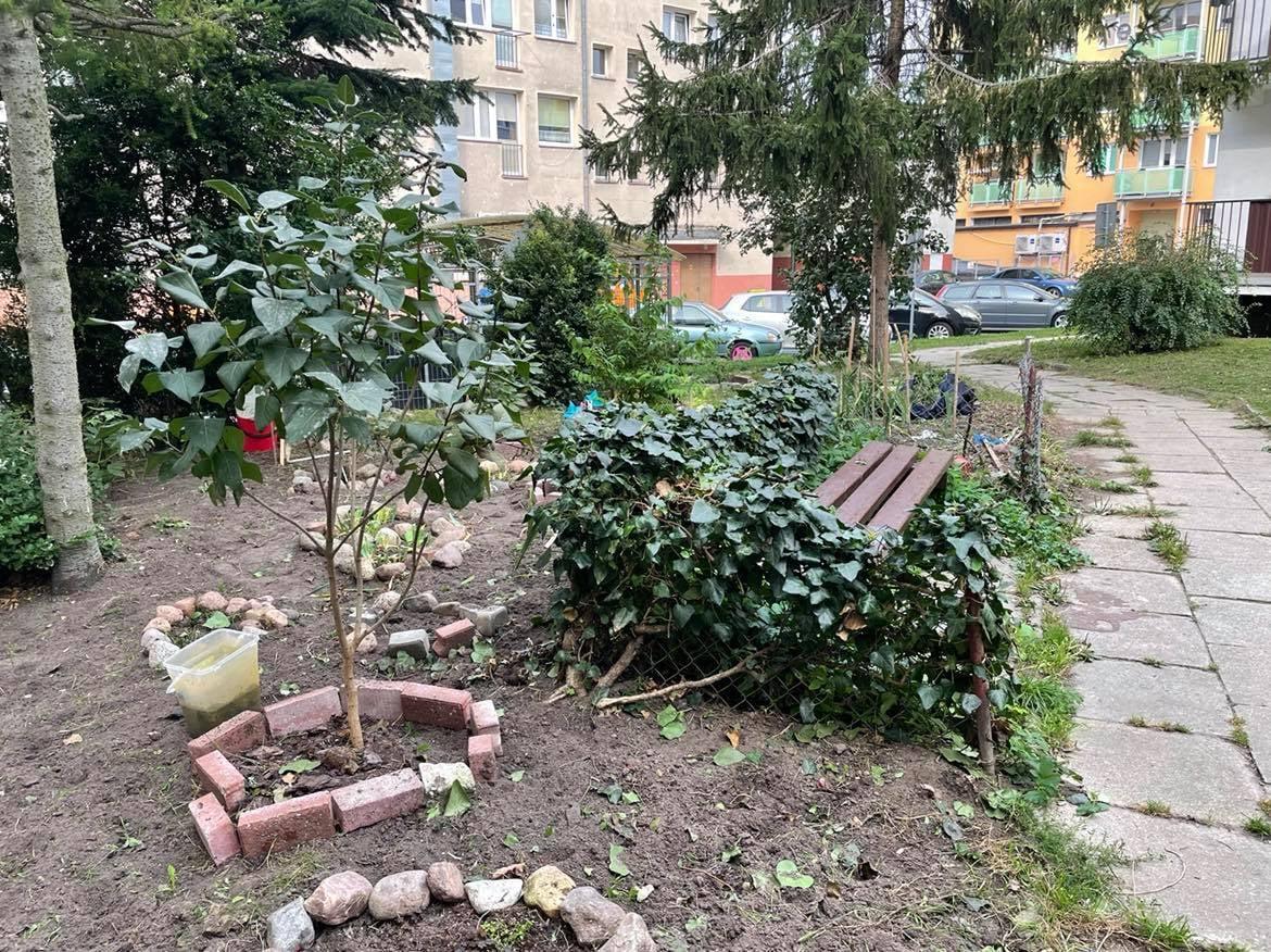 W weekend odnowią kolejne podwórka. Znamy harmonogram