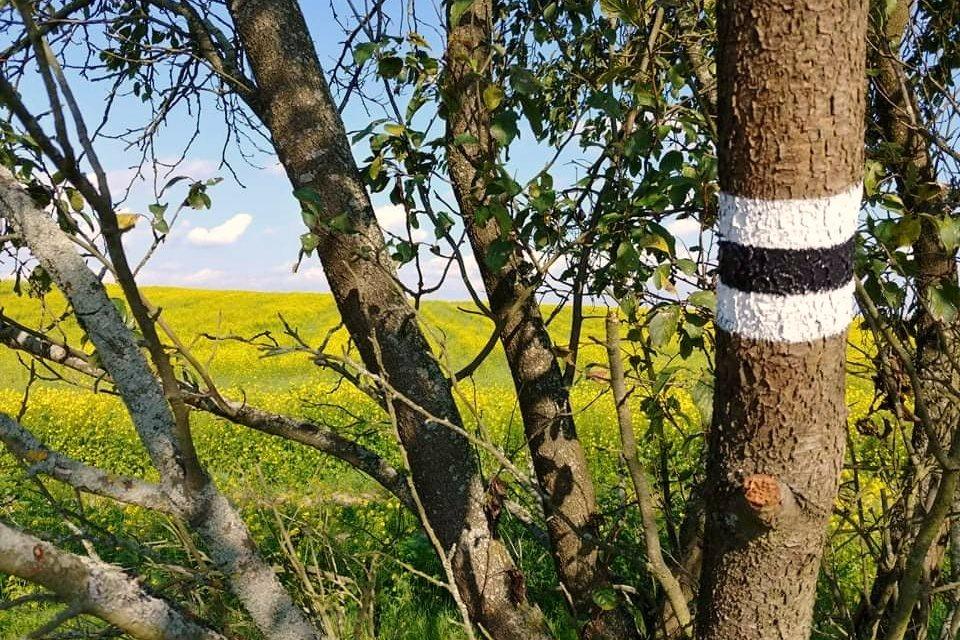 Zapisz się na wędrówkę czarnym turystycznym szlakiem