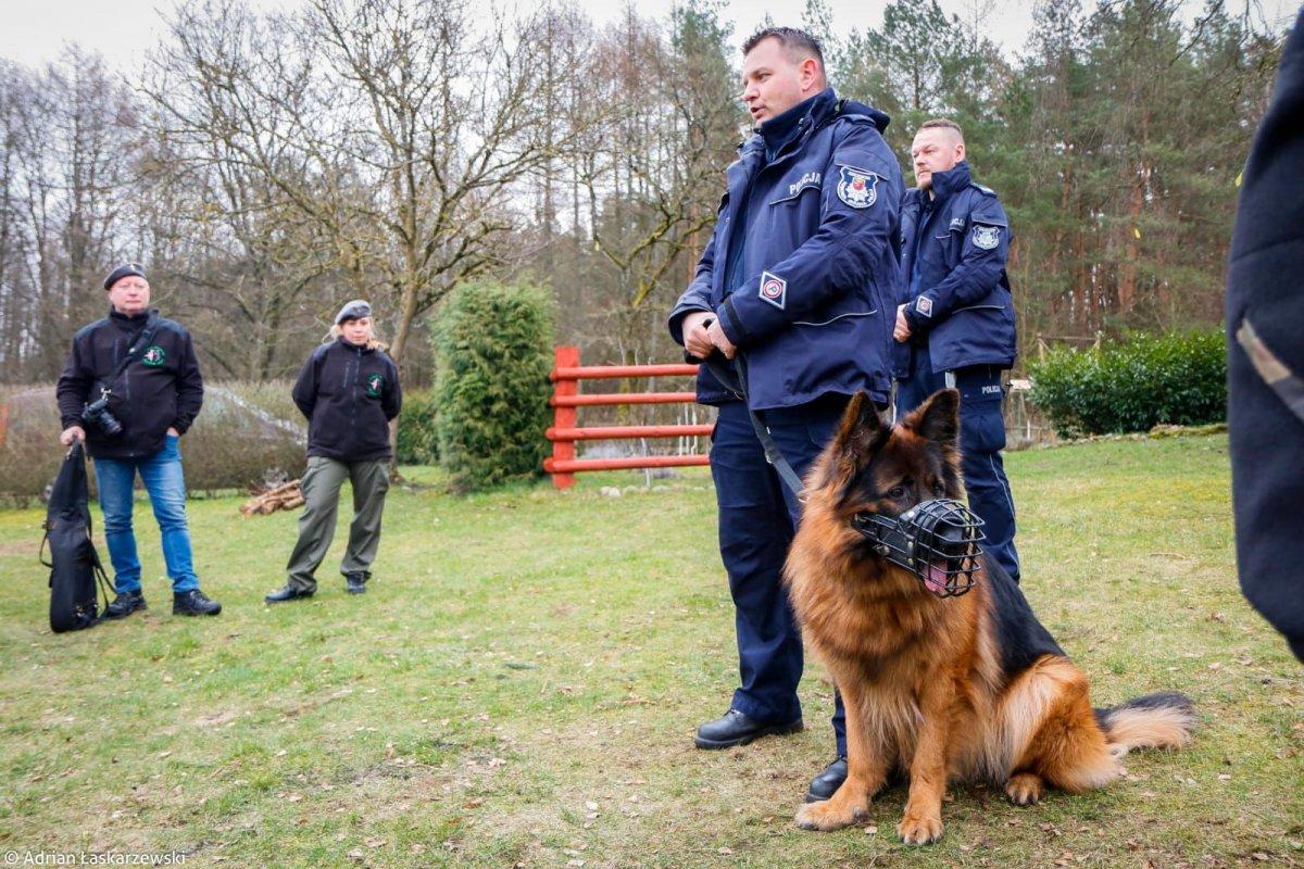 Lachora odnalazła zaginioną 83-latkę